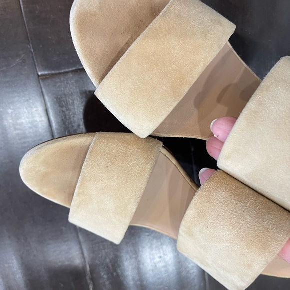 Vince❌sold❌ - Picture 5 of 8